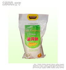 北京的斗与满 老粮仓里的新食代